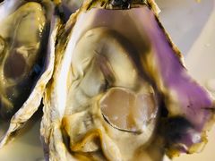 -千岛蚝高压锅生蚝·人参火锅(白云万达店)