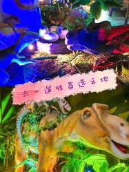 -恐龙探索乐园(磁器口店)