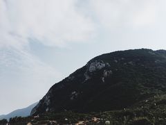 -杨梅坑