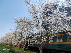 -新天地活力PARK