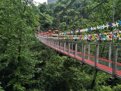 -傣妹火锅(四川北路店)