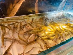 -海棠湾威斯汀酒店·知味西餐厅