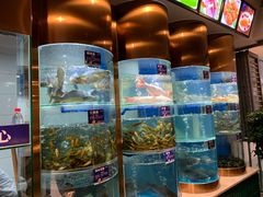 -香坝坝鲜鱼火锅(春熙路店)