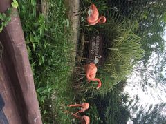 河川生态园-河川生态园