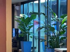 -杨氏青龙虾·羊蝎子(金盛路总店)