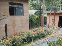 -天怡·鱼工厂(梅溪湖店)