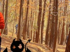 -青龙山国家森林公园