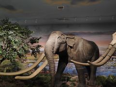 -湖南省地质博物馆