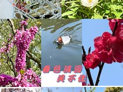 -江南蟹壳皇(新民桥店)