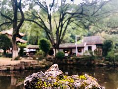 景点-岳麓书院