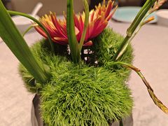 -南堂馆·新川菜(春熙路店)