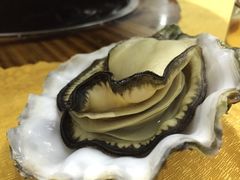 -蚝专家(北滘店)