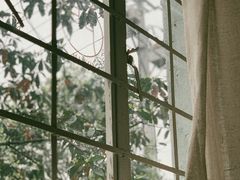 -MAISON门前杂货店