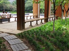 -木塔寺遗址生态公园
