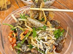 -凤城·食都