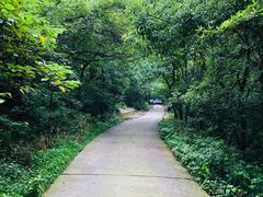 -紫金山山顶公园