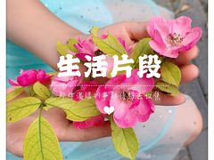 -廊坊市自然公园