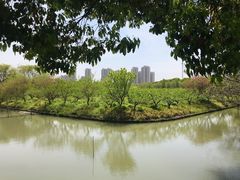 -南汇桃花村