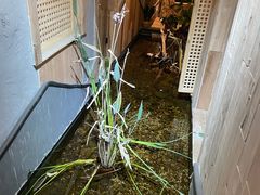 -邈墨茶馆(凤起路店)