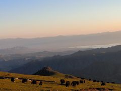 -灵山