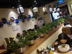 大堂-茶花妹子云南餐厅(传媒大学店)