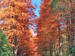 -狼山风景名胜区