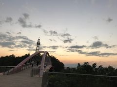 -金鸡山公园