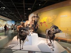 -陕西自然博物馆