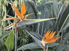 -国家植物园南园