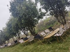 -大塘金香草谷