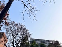 -晓港公园