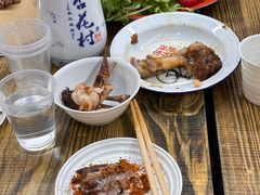 -赵老蒯土窑坑烤