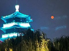 -望湖烤鱼