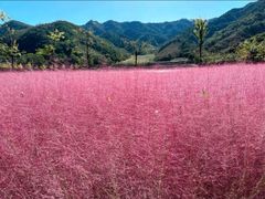 -九如山休闲旅游度假区