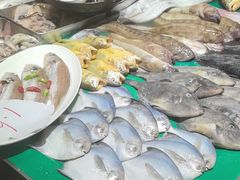 -木柴豆腐·活海鲜·鲁菜(岚山路店)