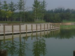 -大望京儿童游乐场