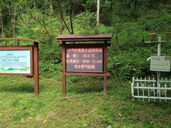 -牛背梁国家森林公园