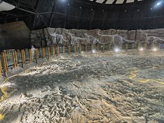 -二连浩特国家地质公园