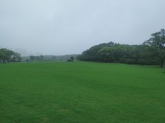 -昆山城市生态森林公园