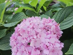 -小意思咖啡店(草桥店)