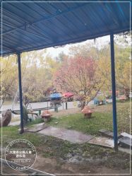 -大望京儿童游乐场