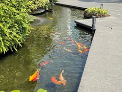 -广州白天鹅宾馆