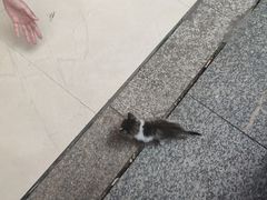 -鱼乐岛餐厅·户外花园主题餐厅