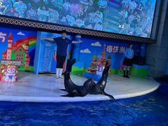 -成都浩海立方海洋公园