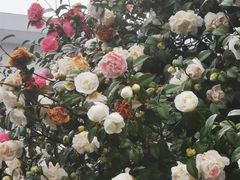 -长沙火车站(地铁站)