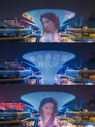 -迈瑞米求婚策划(静安店)