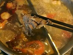-鼎王麻辣锅(七贤店)
