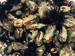 -浪茄湾