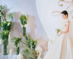 点击看大图 -艾米丽婚纱礼服