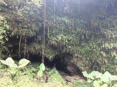 -海口火山口国家地质公园